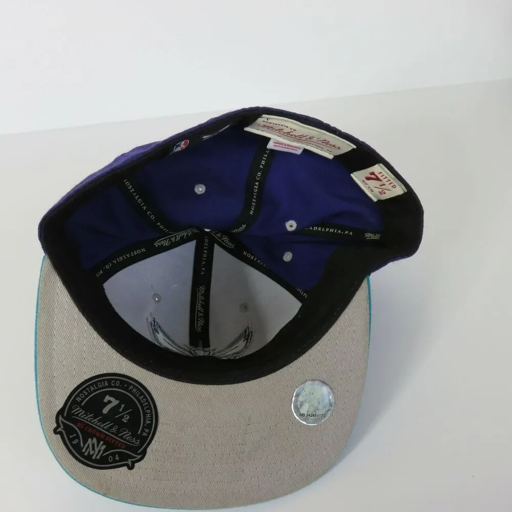 Mitchell & Ness slam dunk